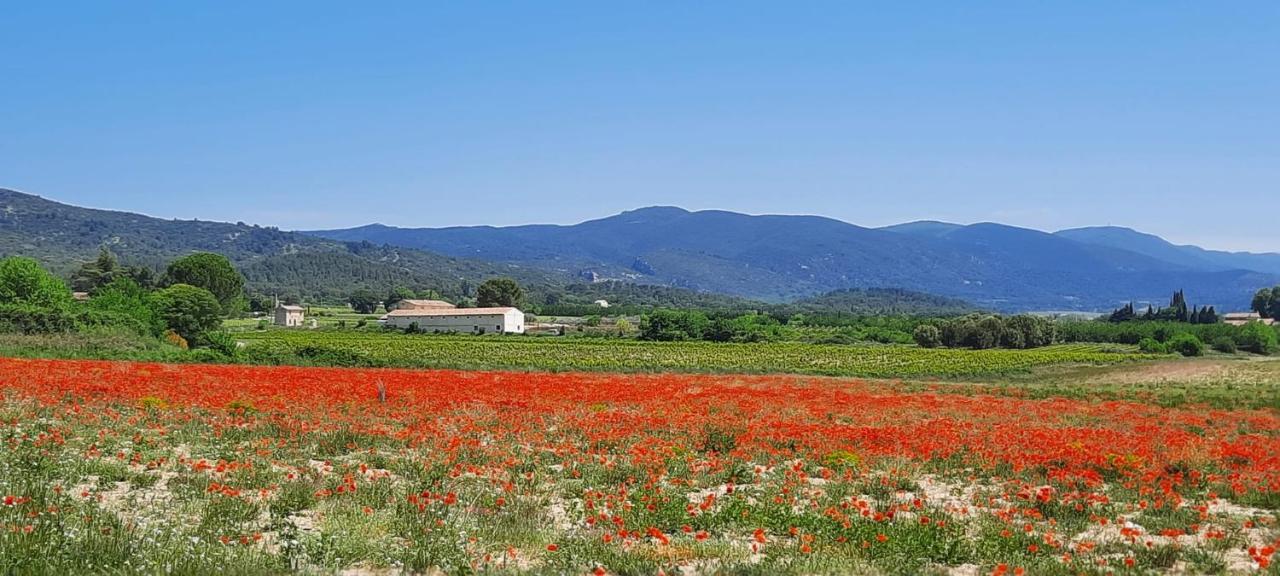 Domaine Des Francobelges - Appartements Lauris Exterior foto